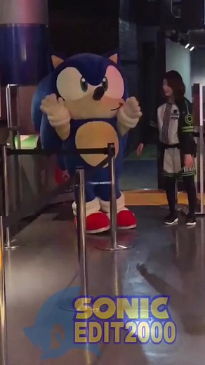 Sonic Gordo: ¡Muy Lindo y Adorable! 🦔