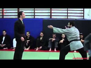 Mushin Do black belt techniques