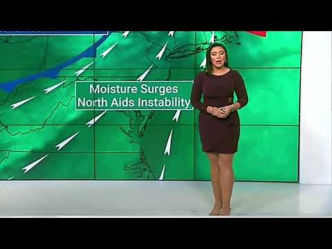 Felicia Combs - Short Purple Dress - Weather Channel - Rear View - Easy On The Eyes