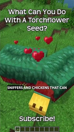 What Can You Do With A Torchflower Seed In Minecraft?!