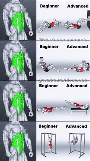 BODY FIT on Instagram: "Transform Your Core: ABS from Beginner to Advanced! ✅SAVE THIS FOR LATER🔥! ✅SAVE/SHARE to add to your routine ➖➖➖➖➖➖➖➖➖➖ Beginner 1️⃣ Crunch: 4x12 reps 2️⃣ Russian Twist: 4x12 reps 3️⃣ Lying Leg Raise: 4x12 reps 4️⃣ Hanging Straight Leg Raise: 4x12 reps Advanced 1️⃣ Wall Crunch: 4x12 reps 2️⃣ Bicycle Crucnh: 4x12 reps 3️⃣ Dragon Flag: 4x12 reps 4️⃣ Hanging Half Windmill: 4x12 reps ♦️➖➖➖➖➖➖➖➖➖➖ 🔔 Turn on post notification ✅ ➖➖➖➖➖➖➖➖➖➖♥️ • • • #AbsWorkout #FitnessTips #St