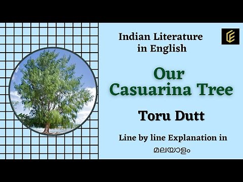 Our Casuarina Tree (Poem)|| Toru Dutt || Indian Literature in English