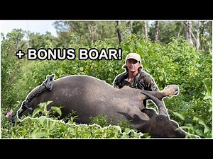 CRAZY wet season BUFFALO BOWHUNTING! | SOLO bowhunting Australia