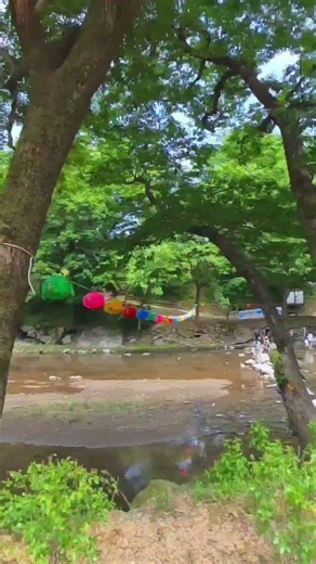 공주 마곡사 계곡, 숲길 따라 걷는 힐링 여행