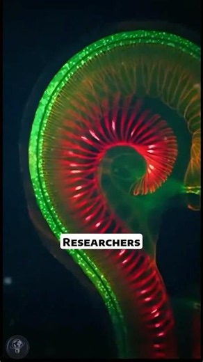 Scientists are finally reversing hearing damage #medicalresearch #science #hearingloss