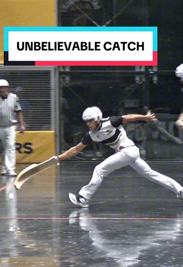 Unbelievable Catch by Alex on the Court