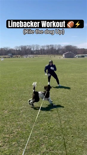 Linebacker Workout #football #workout #nfl #fb #cfb