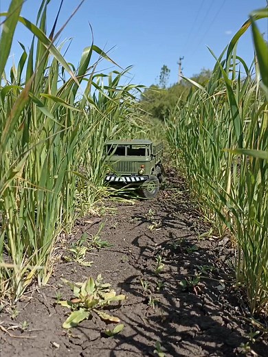 ГАЗ-66 от wpl ползёт в поле #wpl #wplrc #rc #rctruck #rccar #crawler #4x4rc #scale #scaletruck #scalemodel #rclife #rcmodel #gaz66 #gaz #газ66