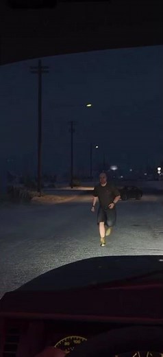 Attached | LSPDFR | 686 callout | GTA V