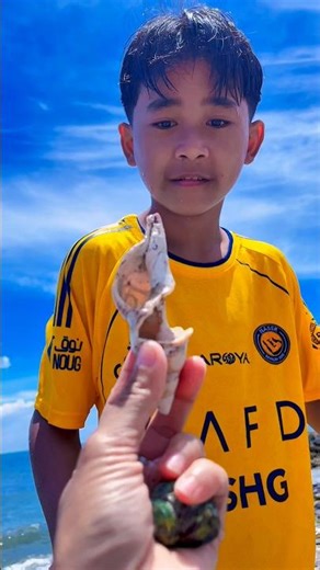 Bro, I found a sea snail shell but it was broken.