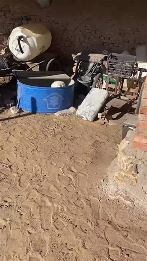 Dog Gets Overly Excited to See Owner