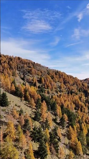 Pointe des Trois Communes depuis le mythique Col de Turini #alpesdusud