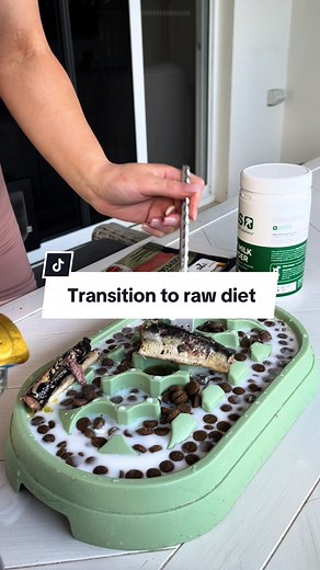 Transitioning to a Raw Diet: Feeding My German Shepherd with Me