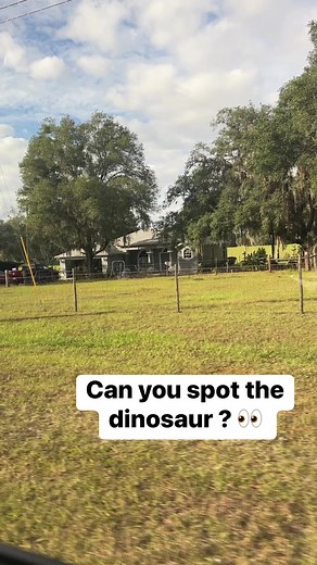 I watched five times until I saw it! | Jennifer Harrison