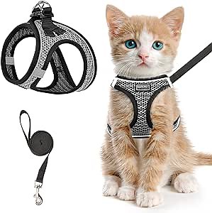Pet Supplies : SALFSE Cat Harness and Leash for Walking Escape Proof, Adjustable Kitten Vest Harness Reflective Soft Mesh Puppy Harness for Outdoor, Comfort Fit, Easy to Control (Gray, XS) : Amazon.com