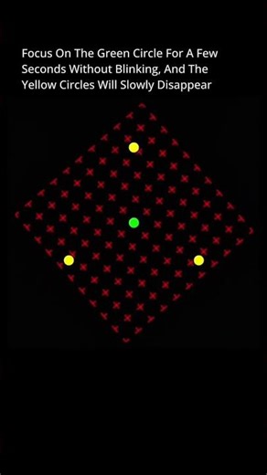 Motion-induced blindness (MIB)🫆🧠 #quantumphysics #science