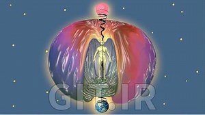 Learn Your Subtle Anatomy & Physiology for Holistic Healing