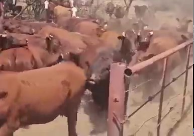 How it feels to work as a nursing home janitor.