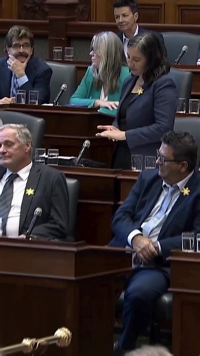 “Deputy Premier, I’ll tell you what Ontarians want. They want that Mississauga hospital to be built by Ontario and Canadian companies first.” I pressed the government today in Question Period about their weak Buy Ontario plan. It’s full of loopholes that let outside companies win contracts our local industries could do right here at home. Next week, we’re debating and voting on our Buy Ontario, Buy Canada motion to fix it and keep good jobs in Ontario. | Jessica Bell