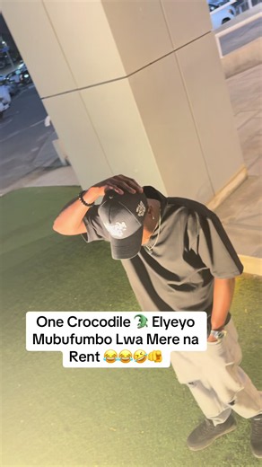 One Crocodile Went to See an Elephant — Funny Song & Lyrics