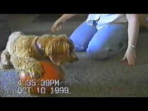 Happy Halloween From AFV Animals!