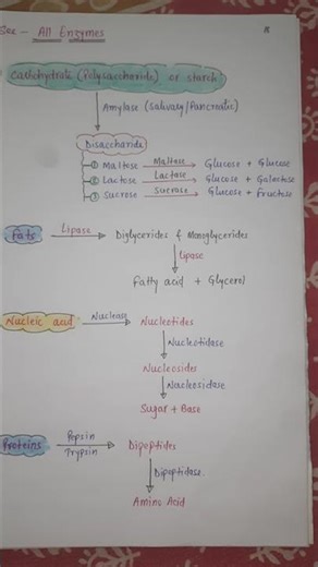 10th class Nutrition #short #biology #10th biology