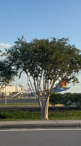 Ok allegiant you really are THAT airline! Allegiant travels to 124 domestic destinations, 44 of which are nonstop routes. One of them is Orlando Sanford to Knoxville! It can be less than an hour to Sanford from the Disney bubble and less then an hour to Dollywood from Knoxville! If you’ve always wanted to go to Dollywood, now it’s easy as can be! THANK YOU, Allegiant Air for having me and I can’t wait to fly next time! Have you flown on Allegiant Air? #allegiantair #nonstoptravel #disneyworld #d