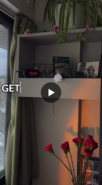 Working alongside the SPC Student Price Card to create social content has been such a rewarding experience! Here’s a quick day in the life with me and SPC! Stay tuned for more 👀 | Ashley Cresnjovec