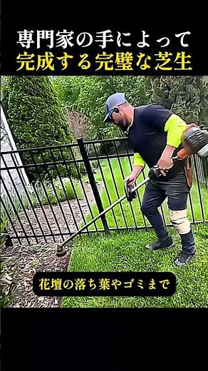 専門家の手によって完成する完璧な芝生