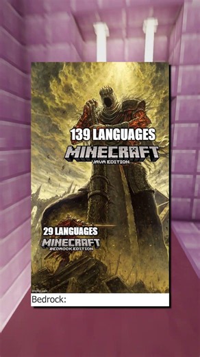 Minecraft Java vs Bedrock Languages 💀
