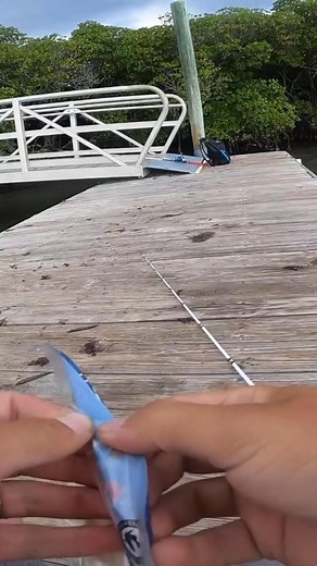 6.5K views · 93 reactions | Big snook eats tiny swimbait #fishing | Abenz Fishing | Facebook