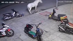 Shocking CCTV footage shows toddler being kicked by a horse