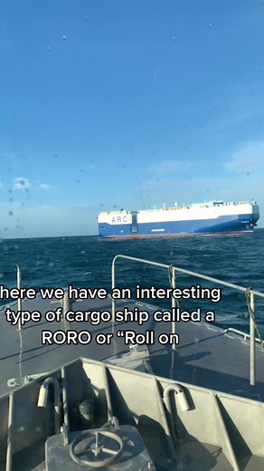 Exploring RoRo Ships: The Efficient Way to Transport Vehicles | Charleston, SC