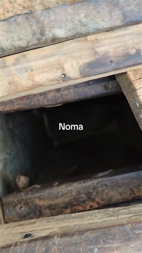 Noma — Creator Search Insights: what creators search for