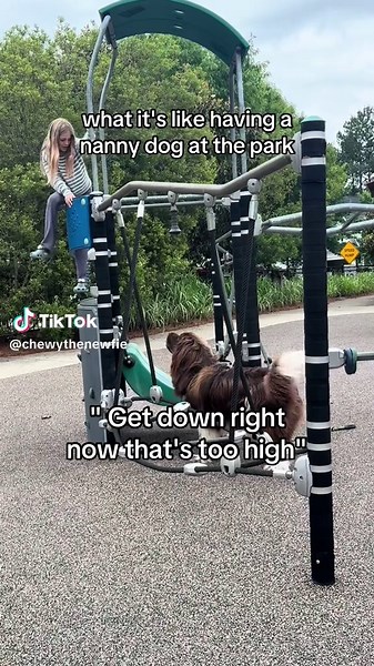 Playground Adventures with Paw Patrol and Nanny Dogs