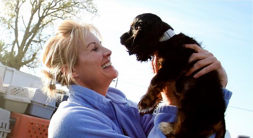 Gift Cards - GlobalGiving