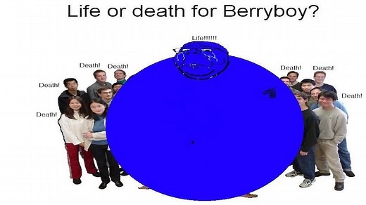Life or Death for Berryboy | Know Your Meme