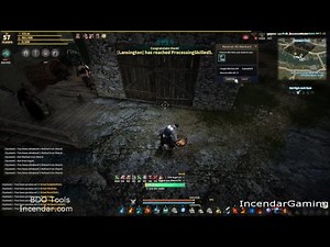 Detachable Worker Feed Window Black Desert Online BDO