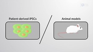 Video: EPS and iPS Cells in Disease Research