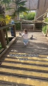 King Julien a munch confirmed #fyp #madagascar | King Julian