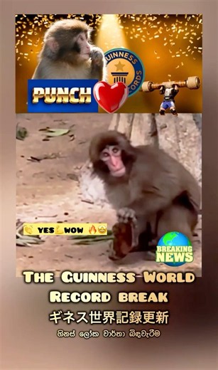 🎉🤩🔥WoW 🙆⚡️💪❤️The Guinness World Record | ගිනස් ලෝක වාර්තාව | ギネス世界記録