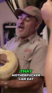 Big a$$ snake 🐍 | Taylor Gang