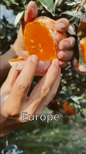 History of Orange