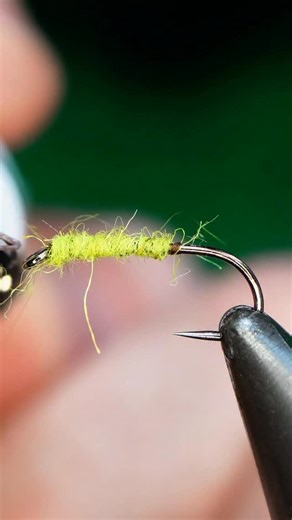106K views · 474 reactions | Poly Chute! Hook: Ahrex FW501 size 14 Thread: TheFlySmith 12 /0 traditional primrose Body, tail, and wing: Poly yarn I brushed out Hackle: Magpie materials riseform Tools: TheFlySmith #fly #flytying #theflysmith #flytyingjunkie #flytyingtutorial | The Fly Smith | Facebook