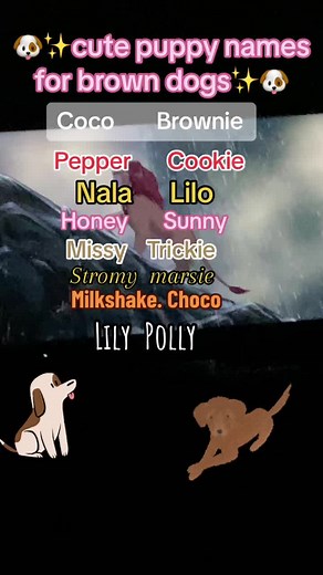 Brown Dog Puppy Name Ideas for Girls
