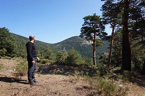 Primer condicional en inglés – cómo formar las condicionales