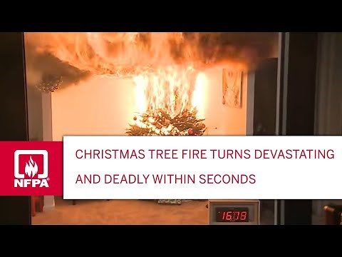 Christmas Tree Fire Turns Devastating and Deadly Within Seconds