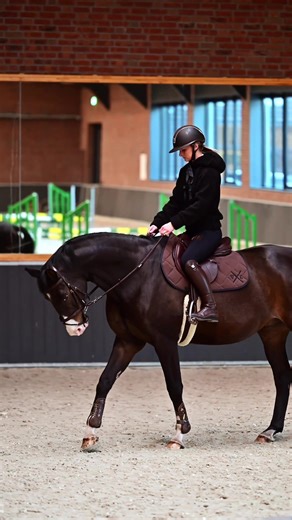 The Best Things About Being Equestrian