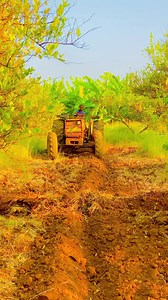 Howal lo bareriyo muruqa leyasku birsha | Moha adam