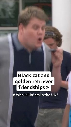 James Corden & Sheridan Smith an unbeatable combo 🐈‍⬛🐕#Gavin&Stacey #JamesCorden #Smithy #Comedy #iPlayer | BBC Three